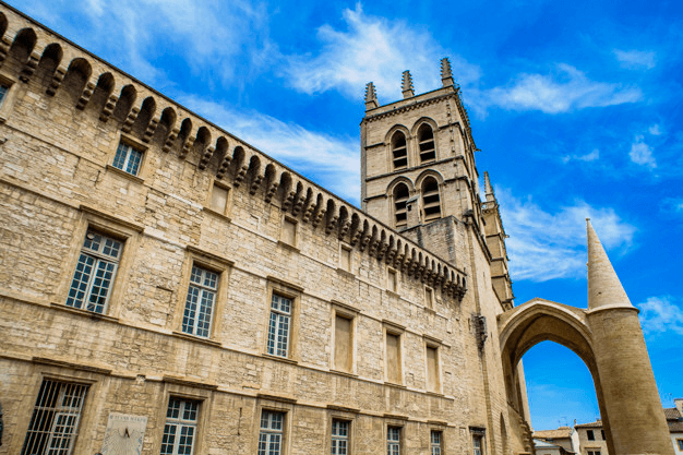 University of Montpellier - Best Universities in France